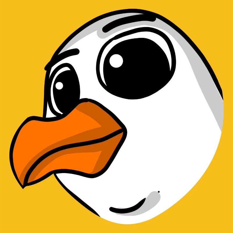 Möwe Kopf
