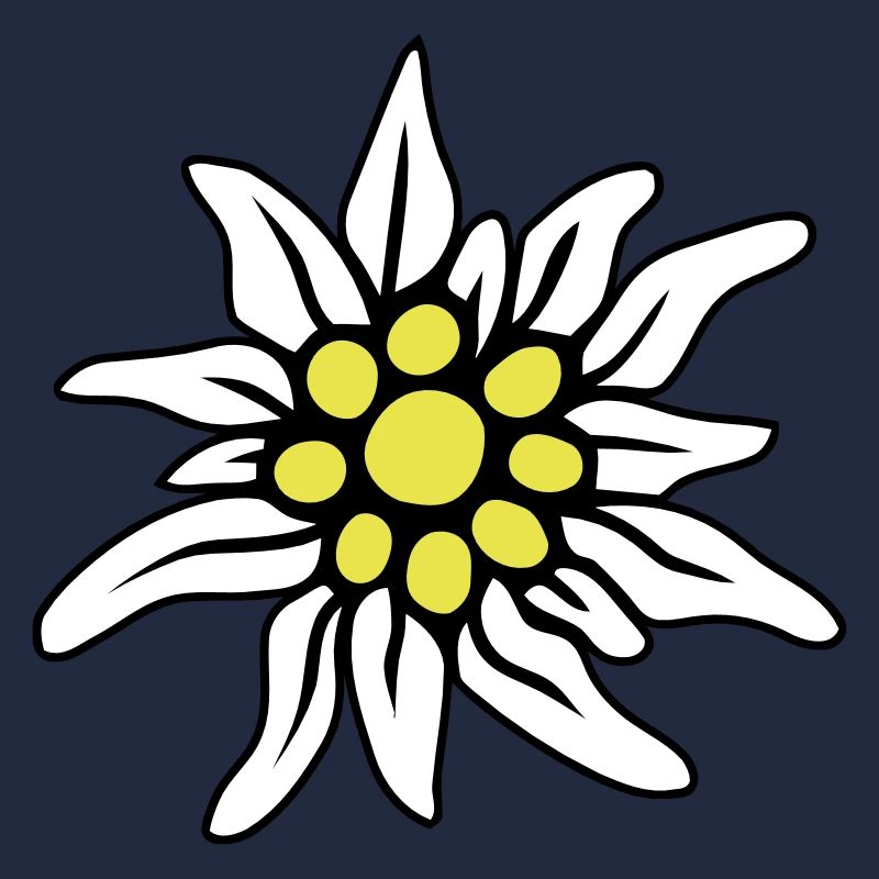 EDELWEISS BLÜTE