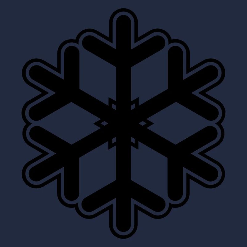 Neige flocon de neige