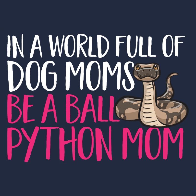 Ball Python Schlange Königspython