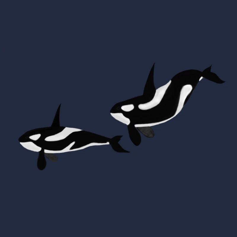 Orcas