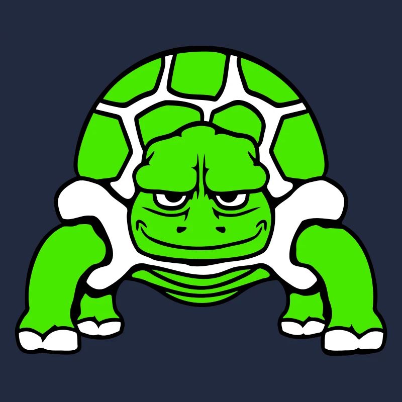 Turtle Smiles Funny Happy Comic Cartoon