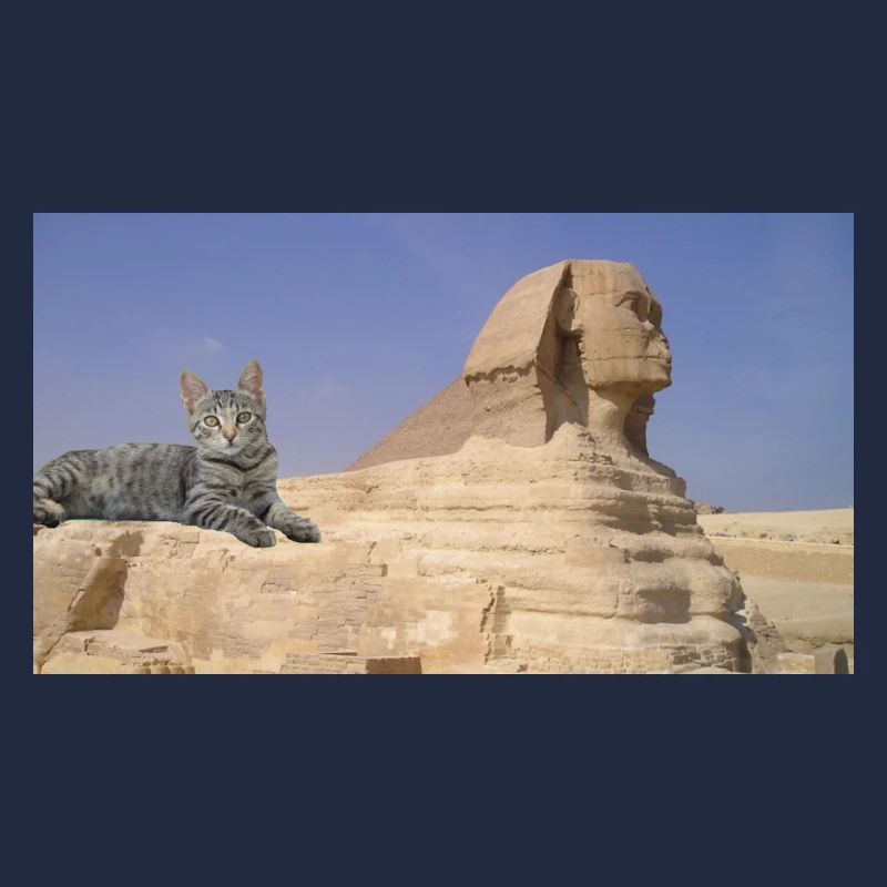 Cat and Sphinx