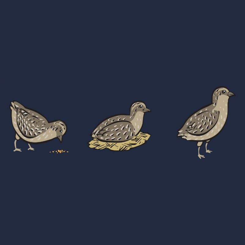 Oiseau de caille