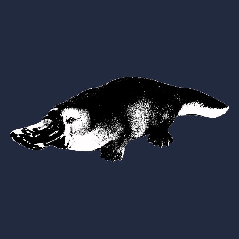 Ornithorynque