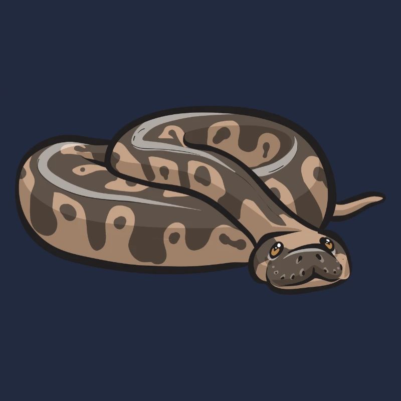 Ball Python Schlange Königspython