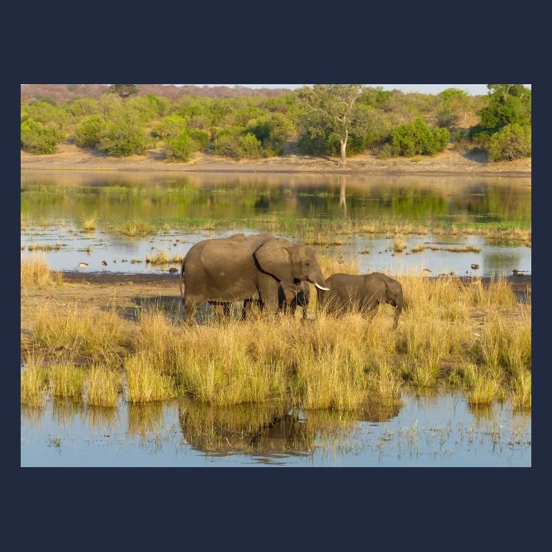 Elefanten am Wasser in Namibia Afrika