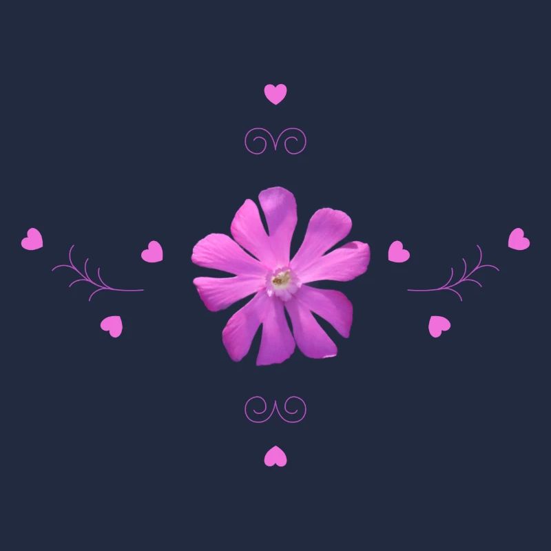 Oeillet Fleur Rose