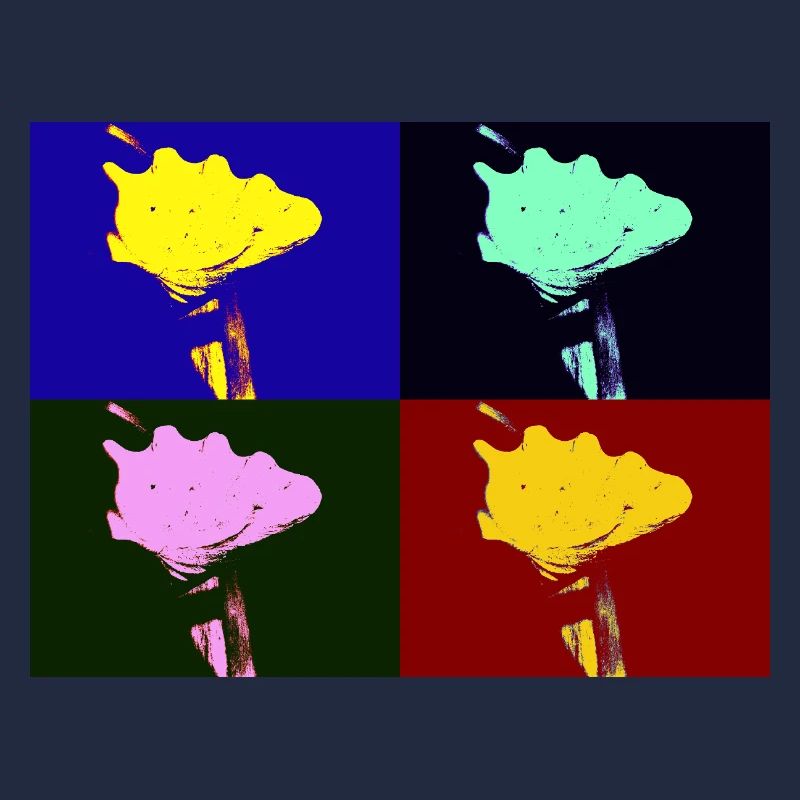 Shell Imagination