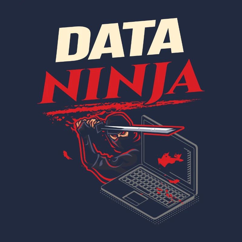 Data Ninja computer programming coder