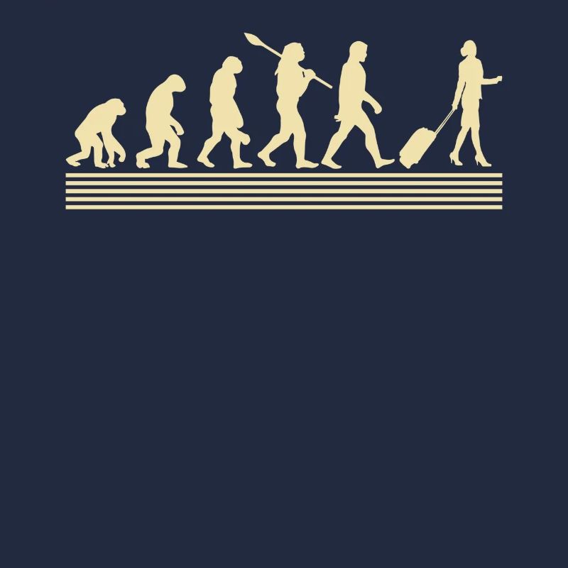 Stewardesses evolution