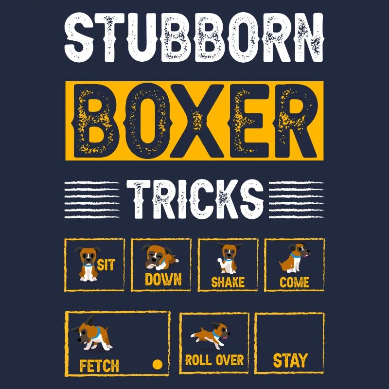 Stubborn Boxer Tricks