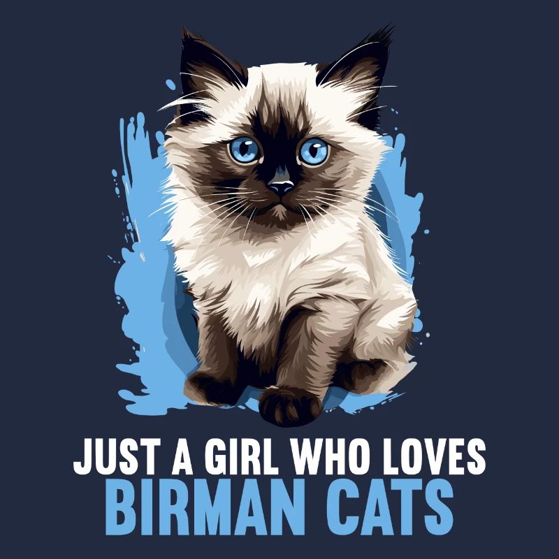 Birman Cat Birma Katze