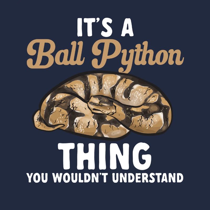 Ball Python Schlange Königspython