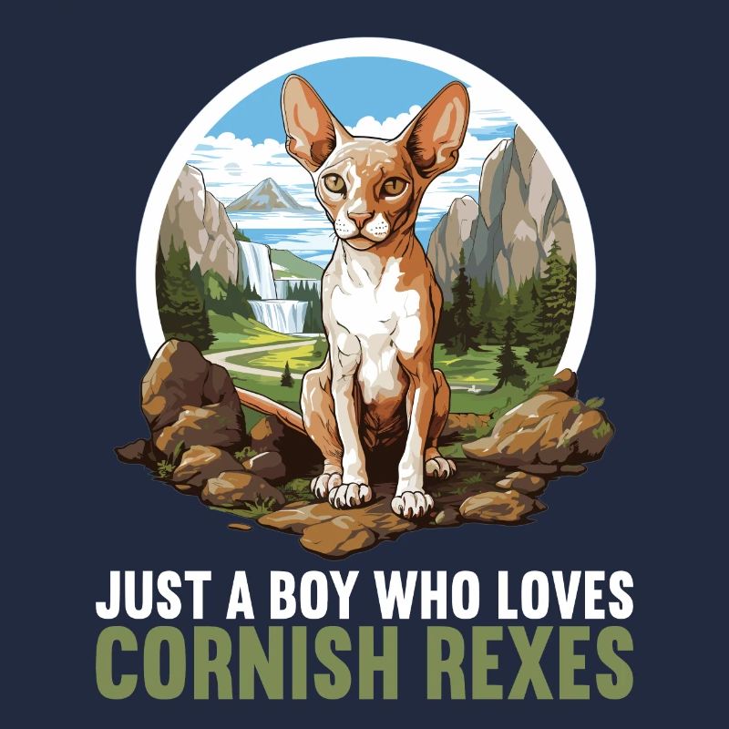 Cornish Rex Kätzchen Cornish Rex Katze