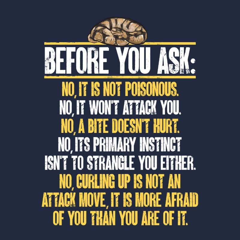 Ball Python Schlange Königspython