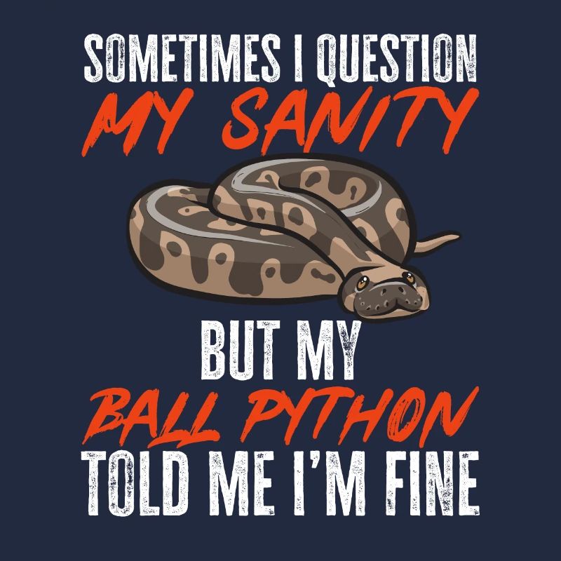 Ball Python Schlange Königspython