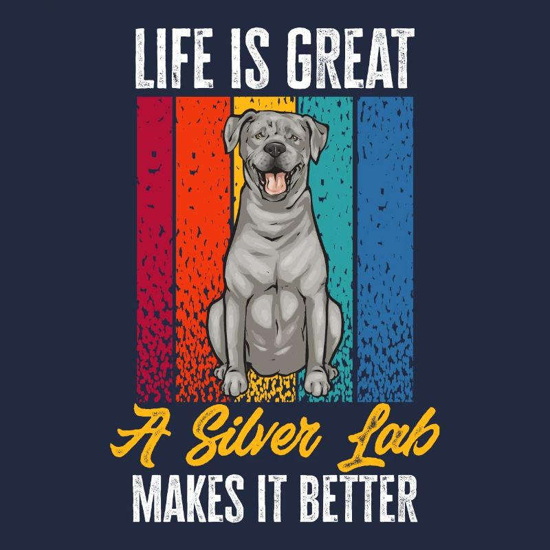 Silver Labrador Retriever Silver Lab