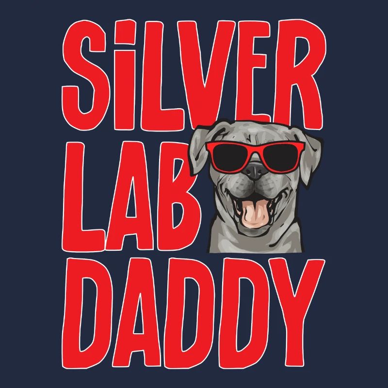 Silver Labrador Retriever Silver Lab