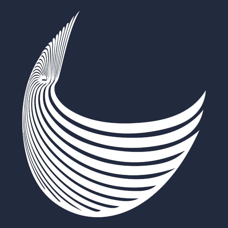 Aile à rayures géométriques