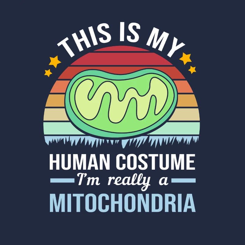 Molekül Strukturformel