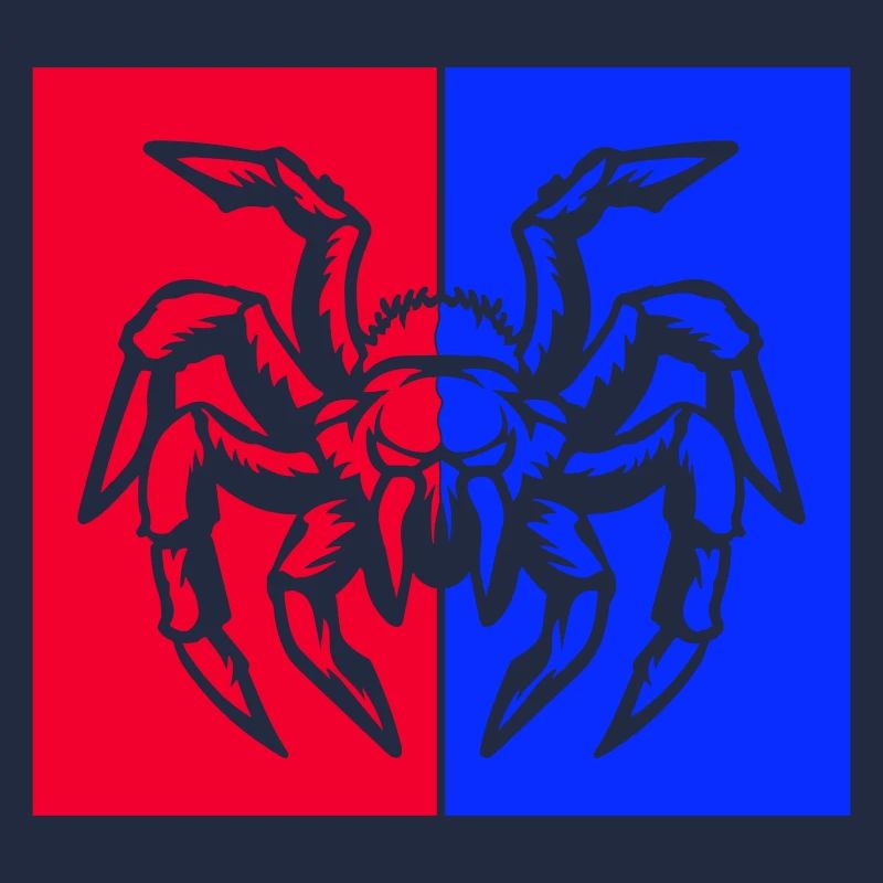spinne spider