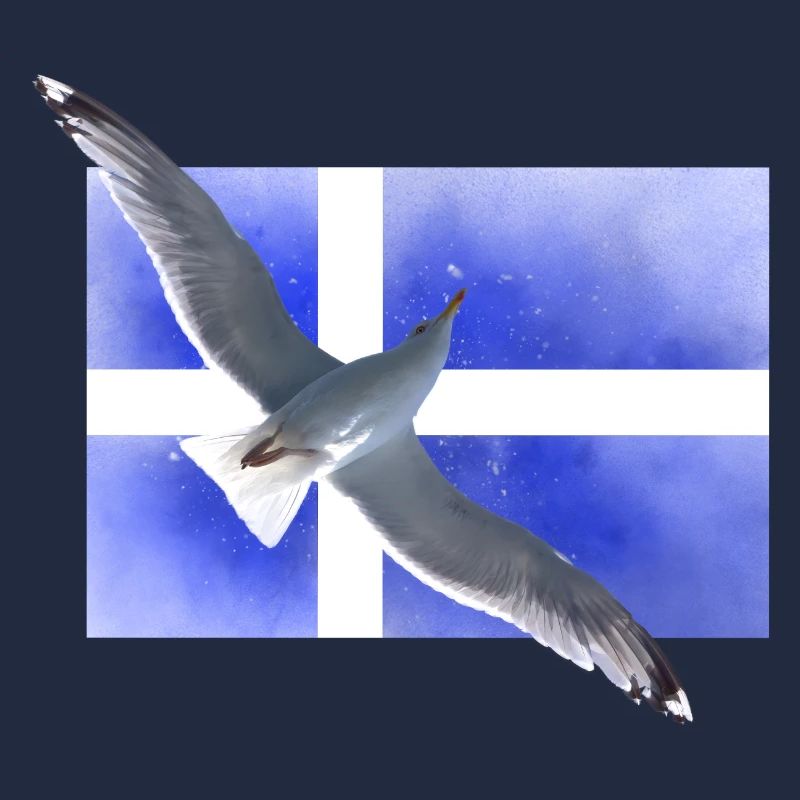 Finnland Möwe Suomi
