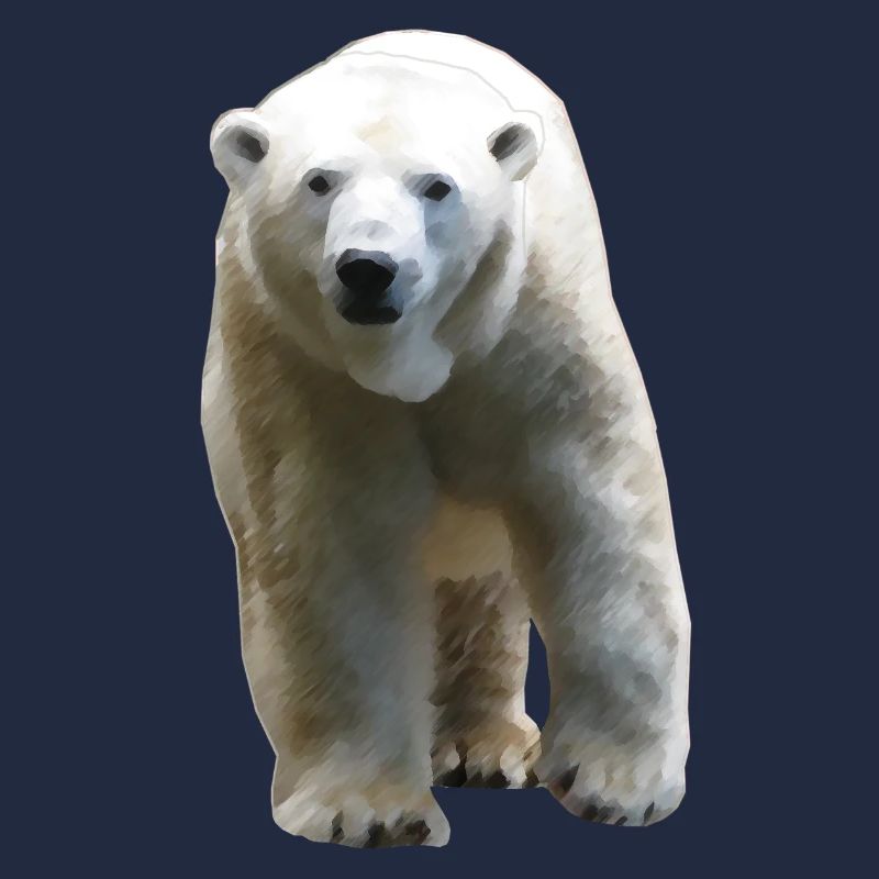 Polar Bear - Eisbär