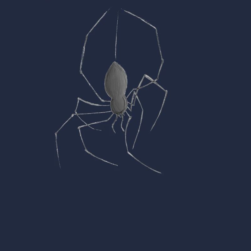 Spinne