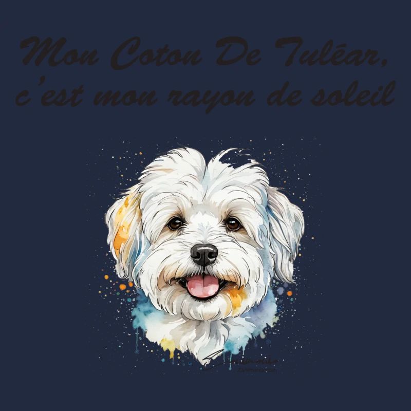 Coton de Tuléar rayon de soleil