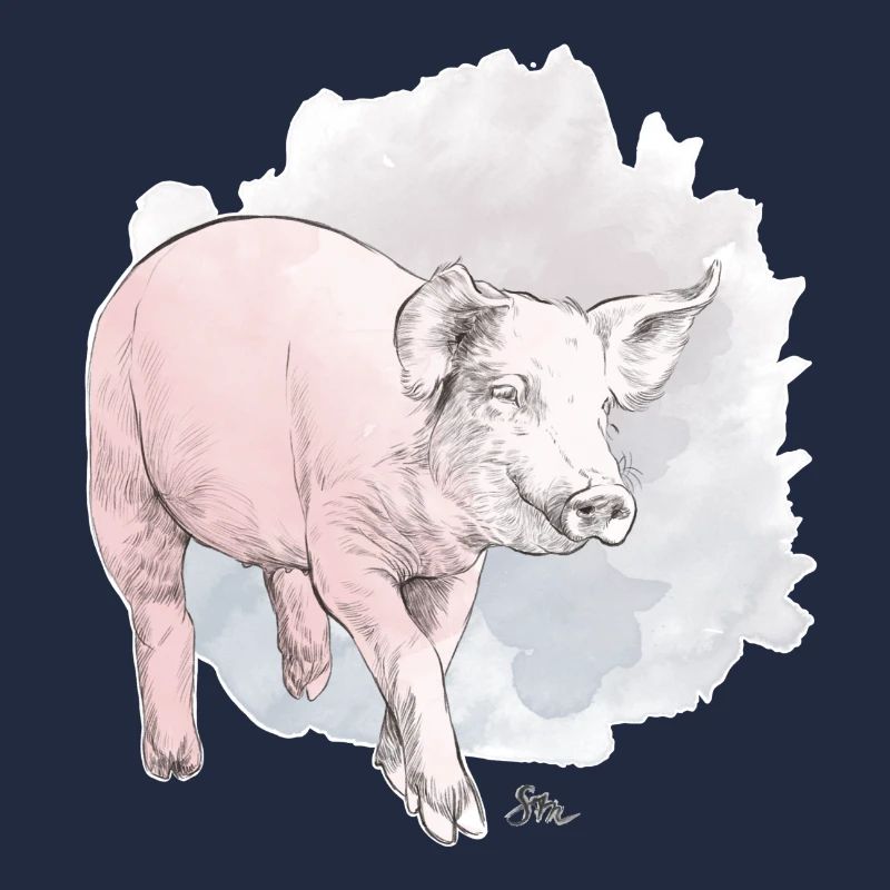 Cochon mignon devant une masse colorée