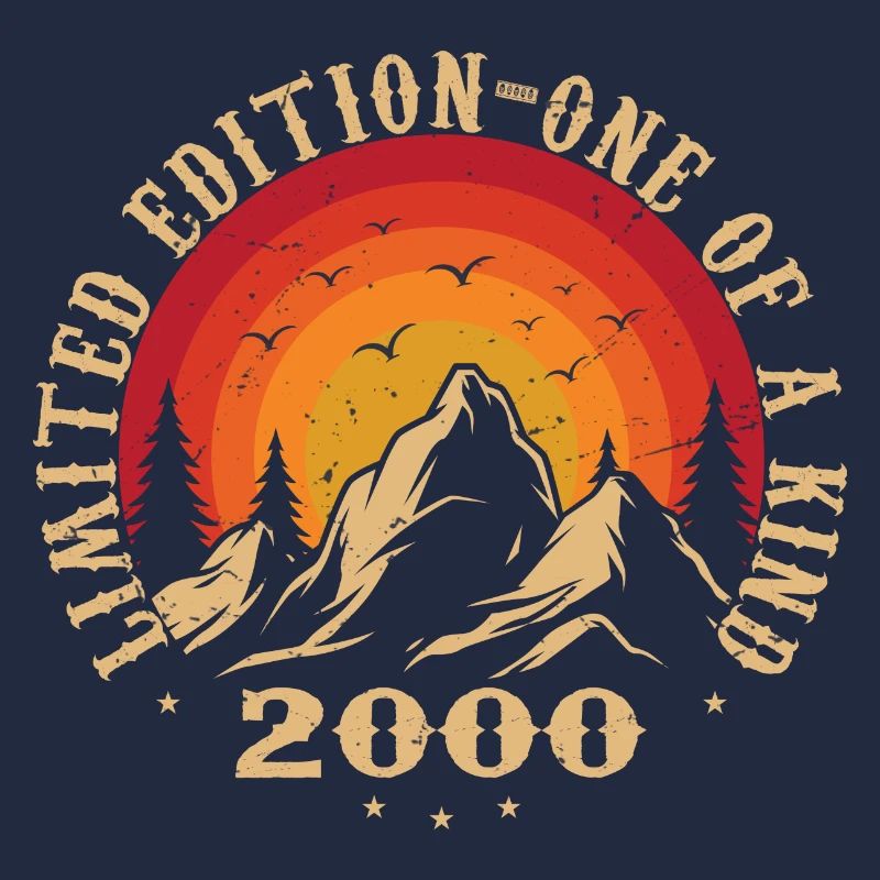 Vintage 2000 Retro 2000 Geburtstagsgeschenk 2000