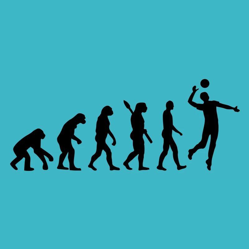 Evolution Volleyball