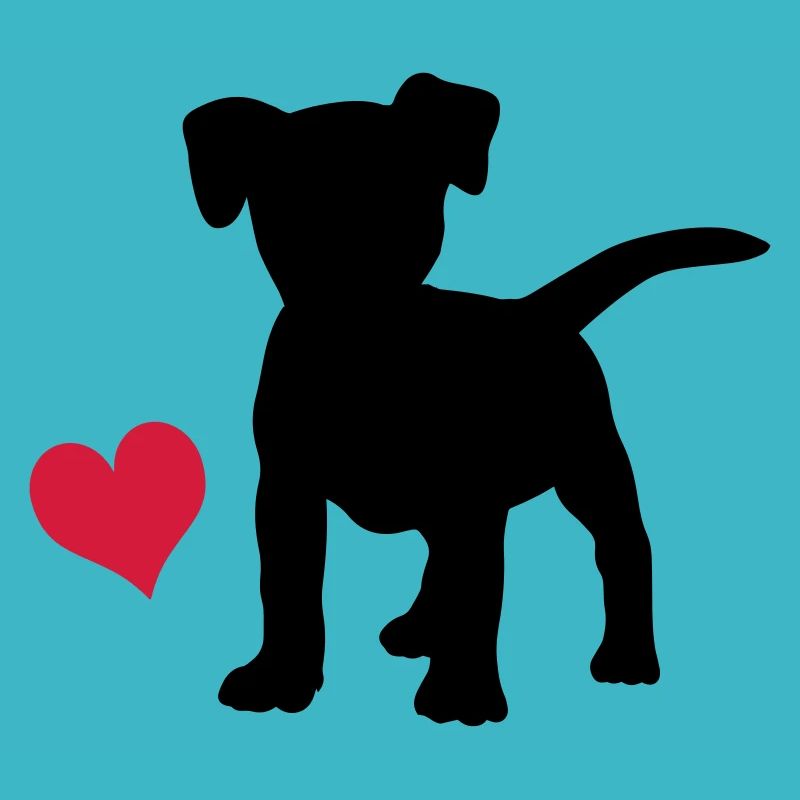 Jack Russell Terrier