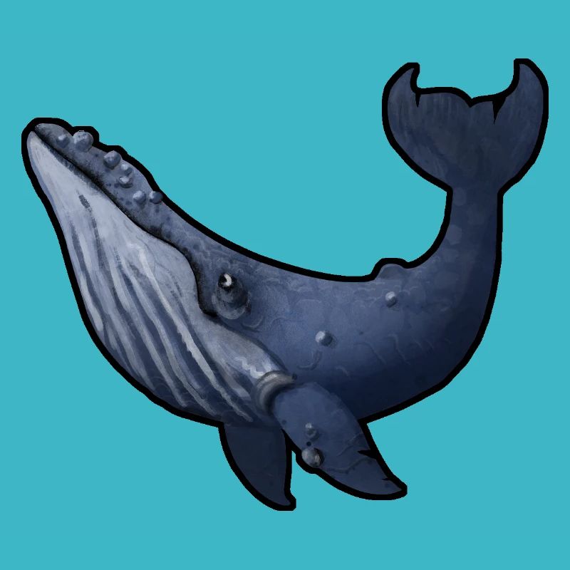 Humpback whale