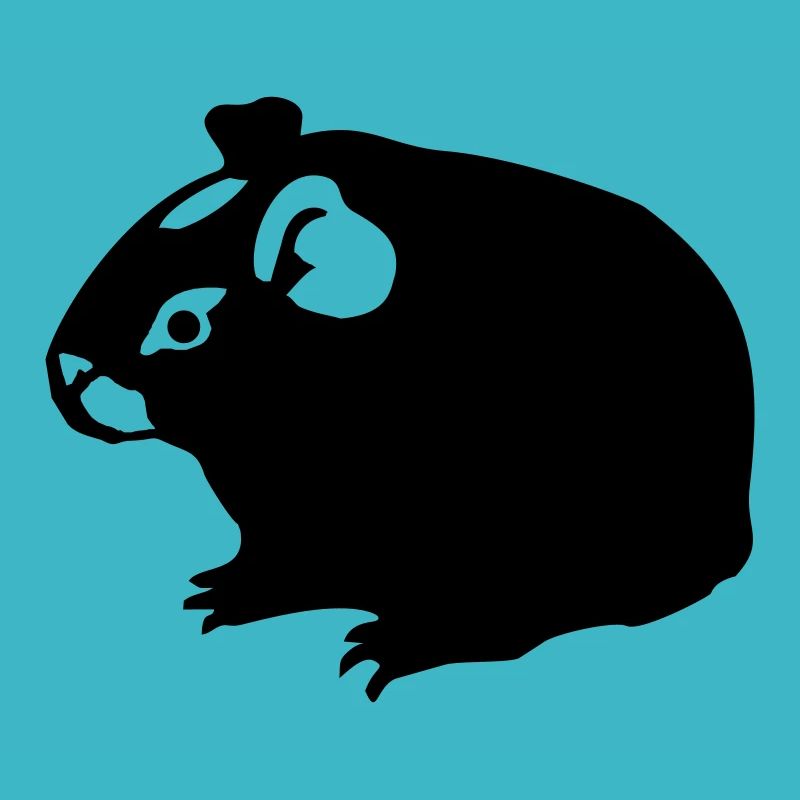 Meerschweinchen (2) einfarbig