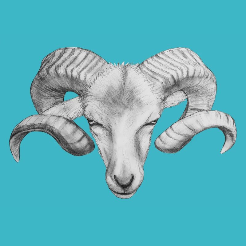 Widder | Sternzeichen