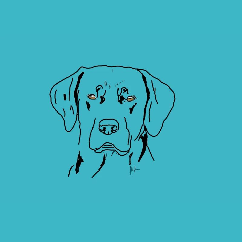 Labrador
