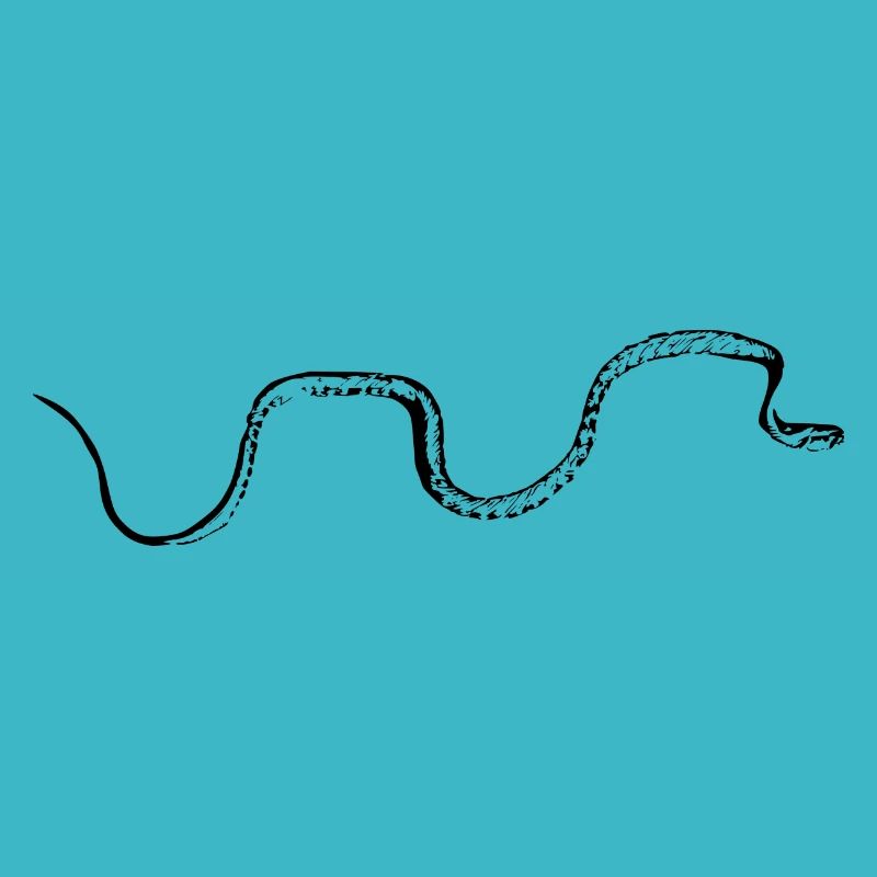Serpent noir