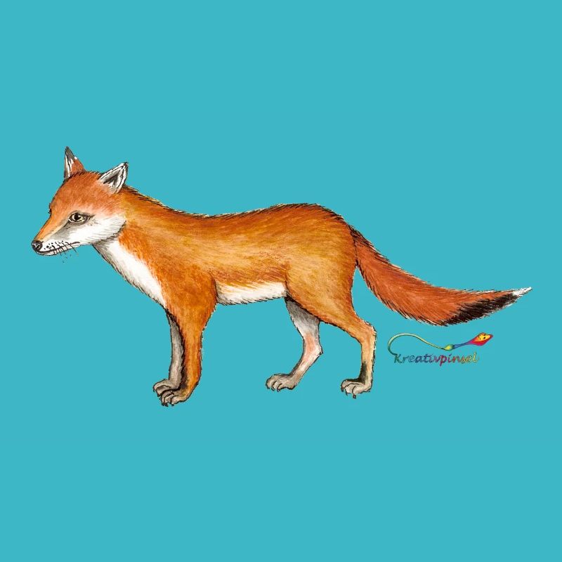 Fox (Vulpes vulpes)