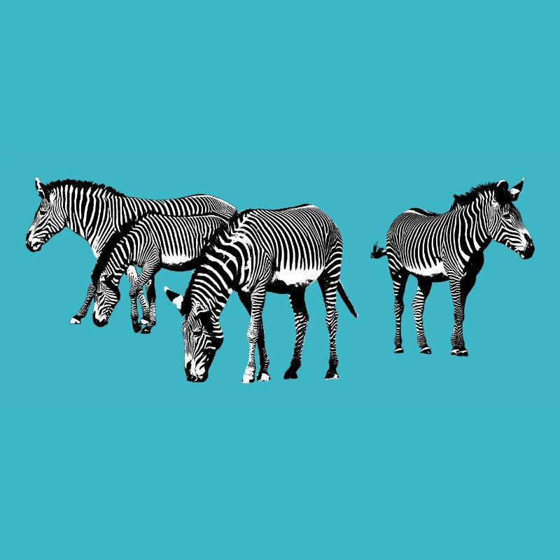 Zebras