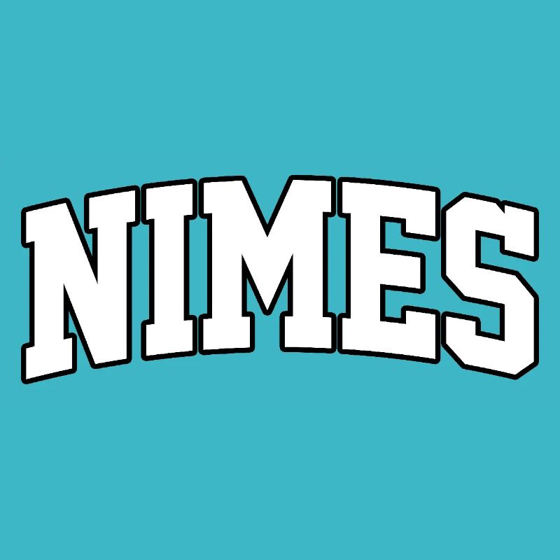 Nîmes logo: Collegiate design with a historic style