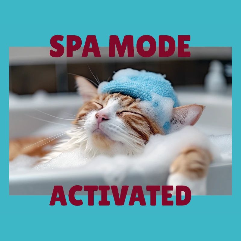 Mode spa chat