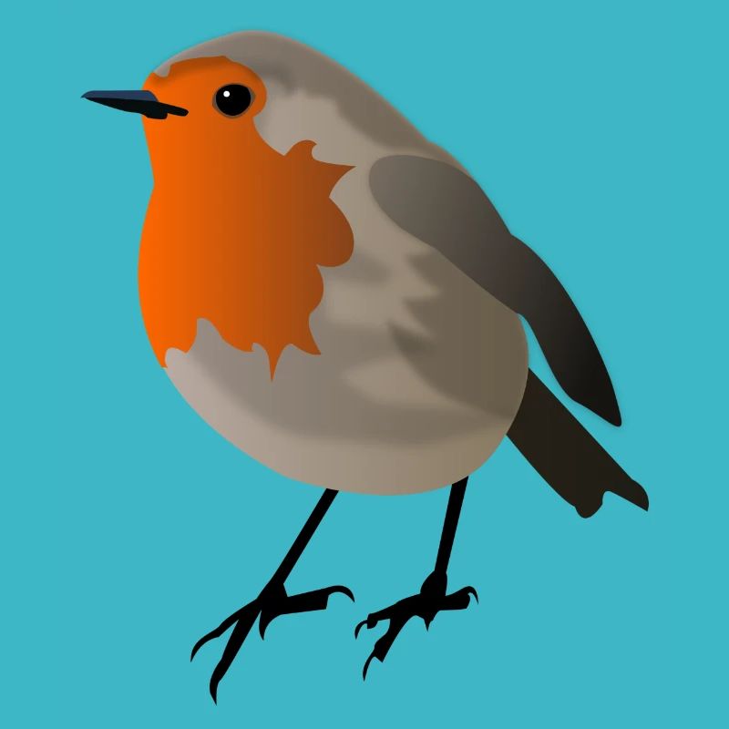 rouge-gorge