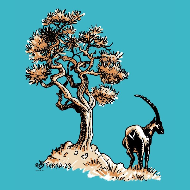 Bouquetin et arbre