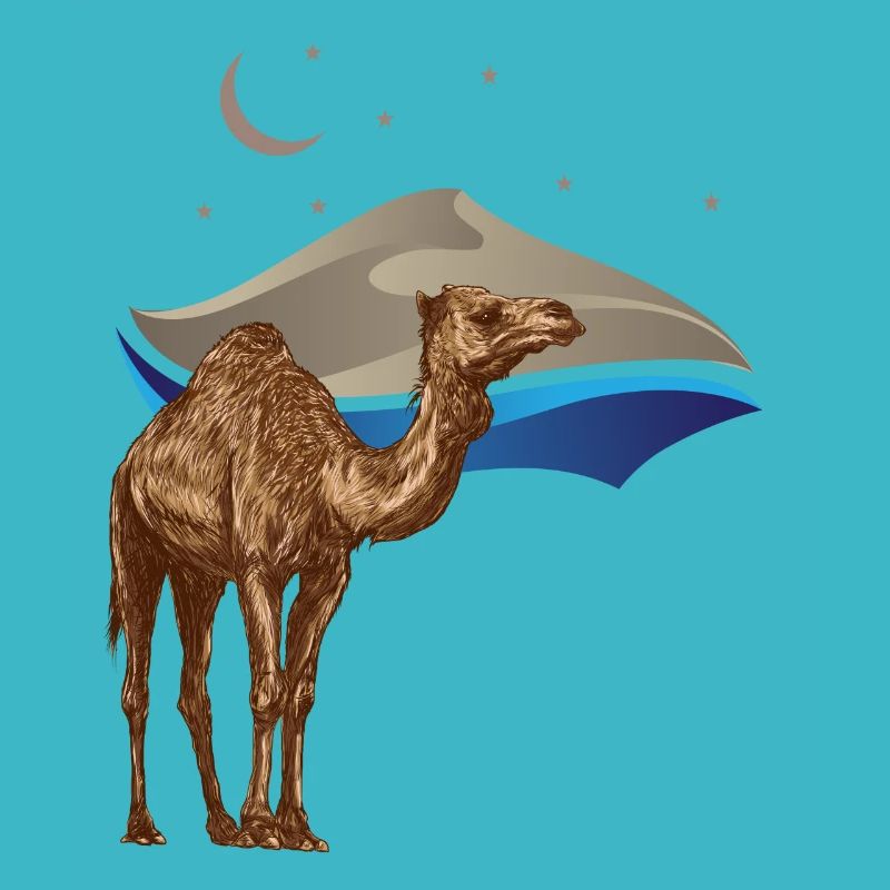 Desert Magic – Camel under the Stars