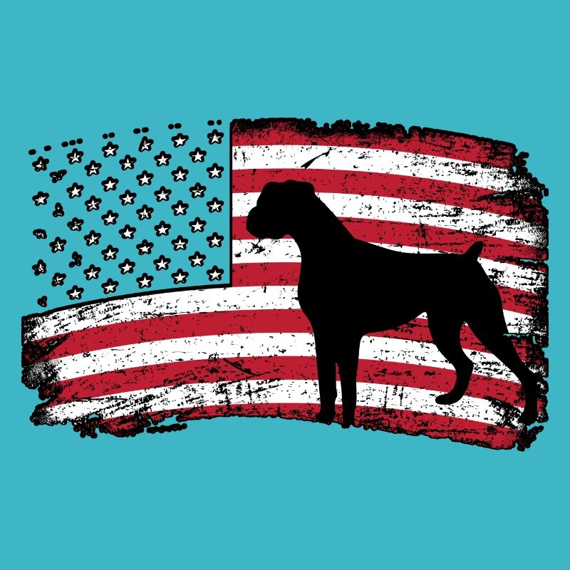 Boxer États-Unis