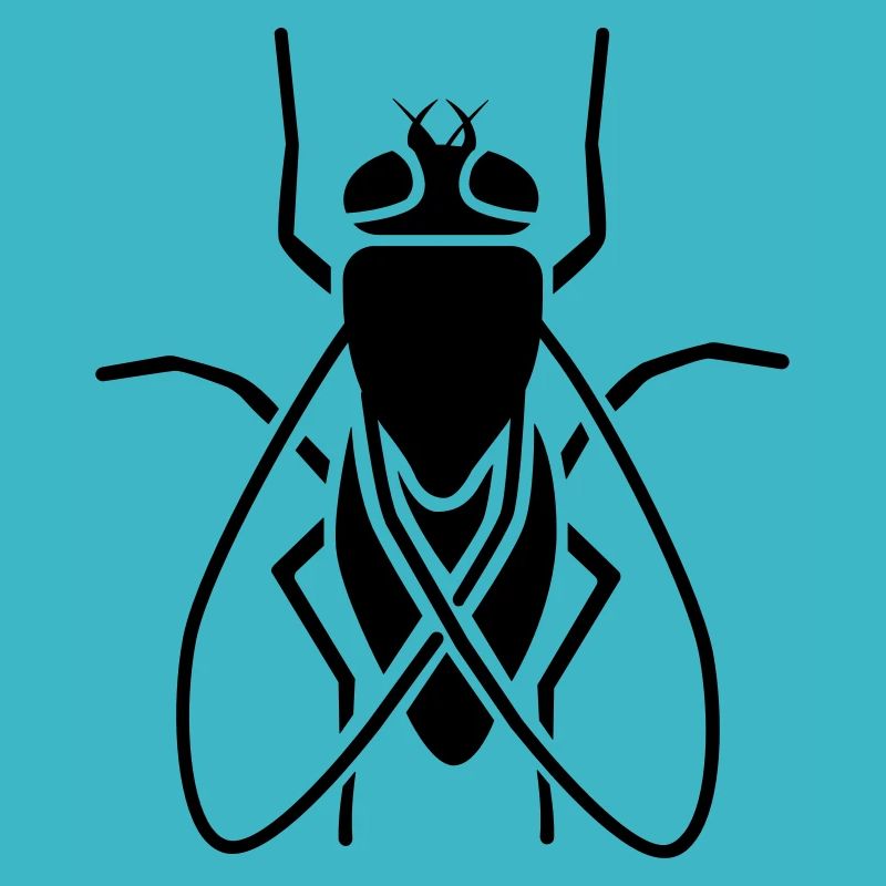 Insectes - Fly