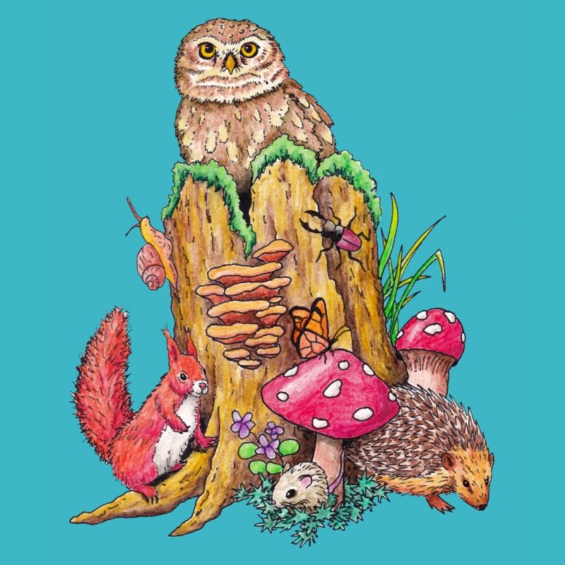 Animaux de la forêt