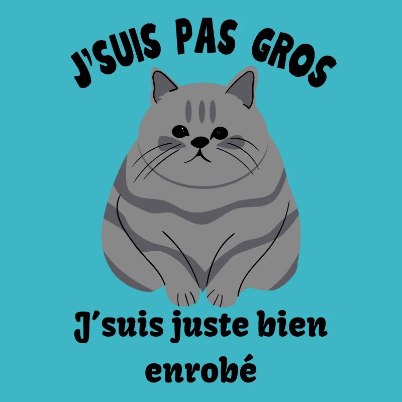 chat gros noir, juste enrobé